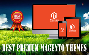12+ Top Best Premium Magento Themes 12+ Top Best Premium Magento Themes